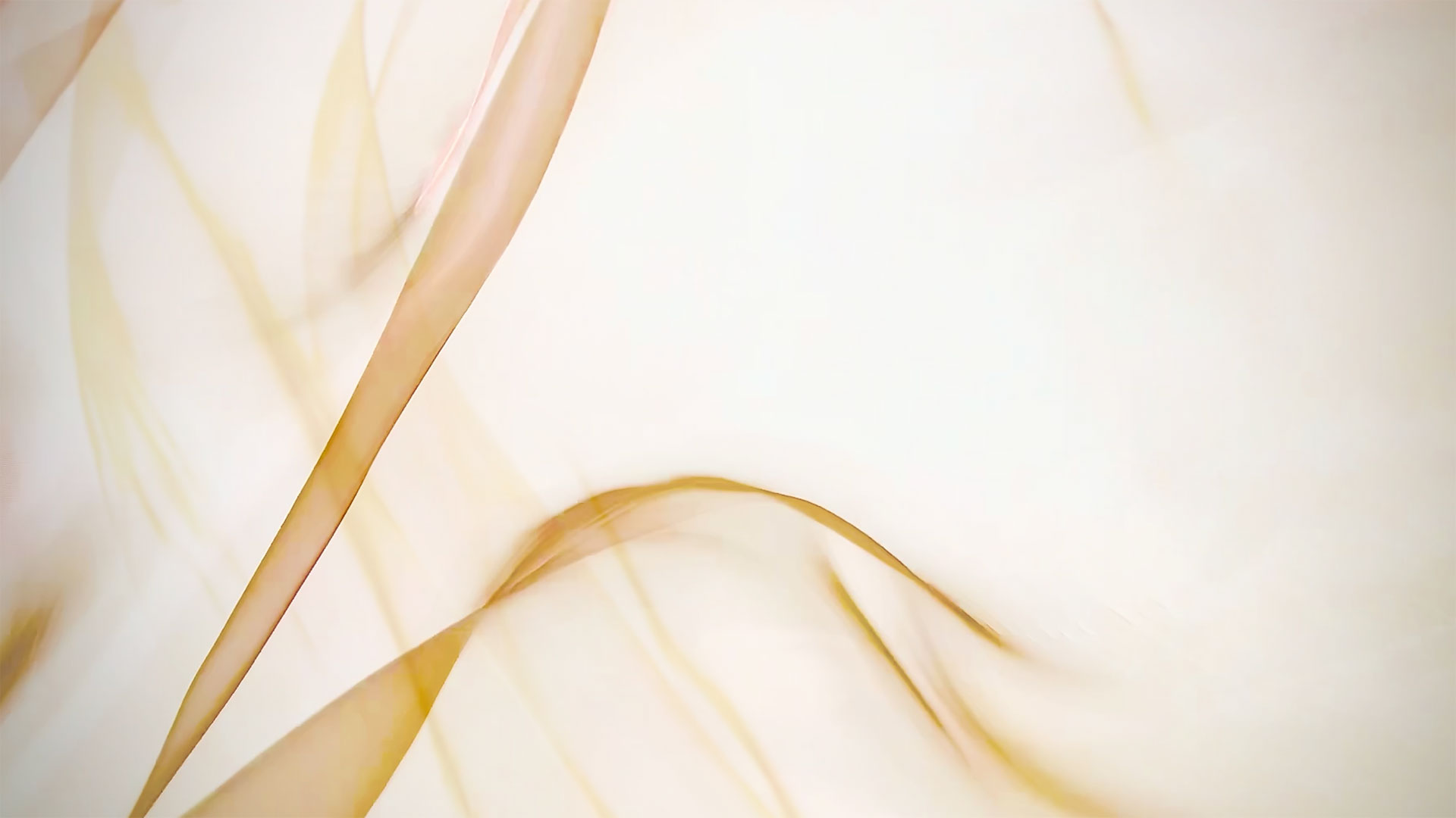 The World's Finest Organza・Venus Organza・ヴィーナスオーガンザ